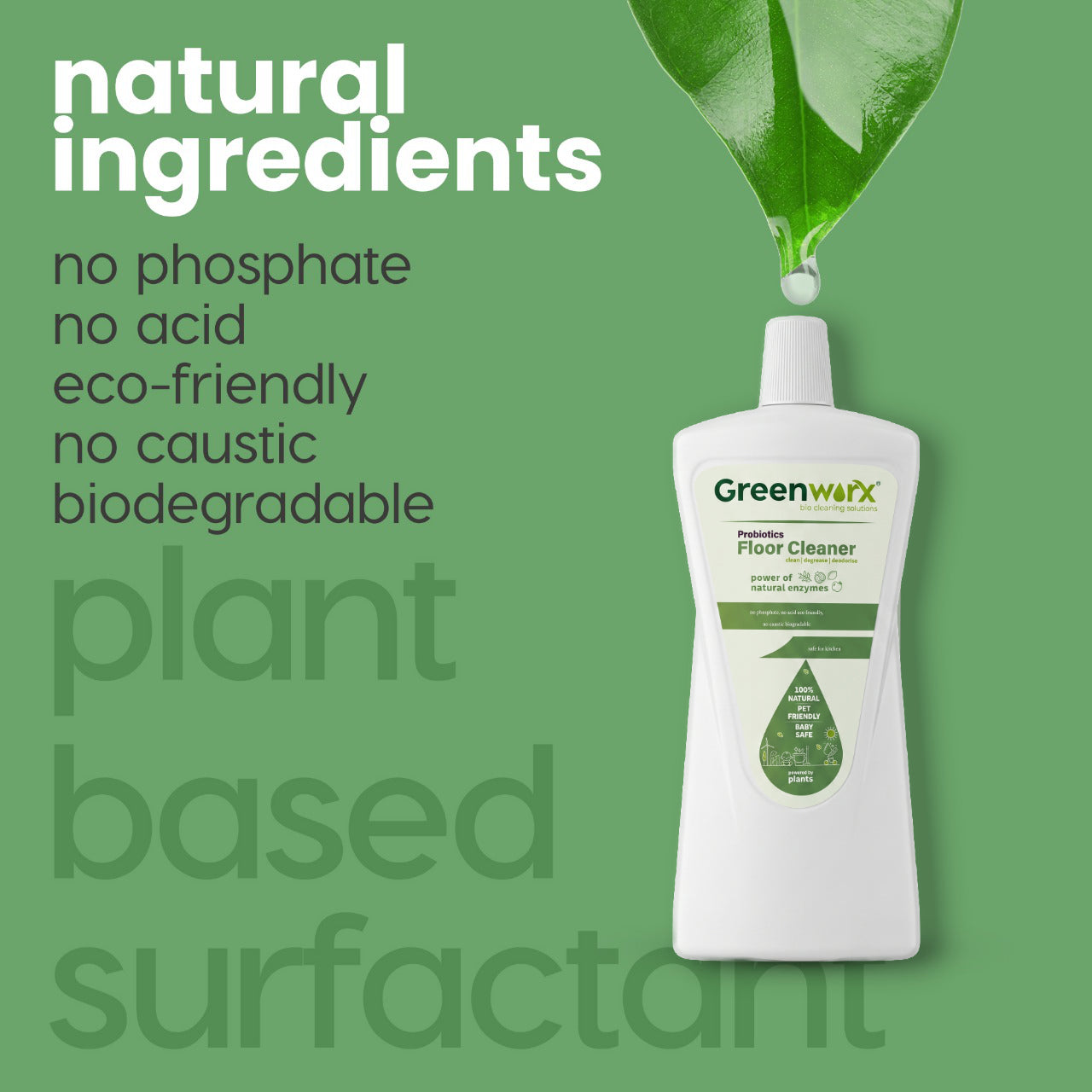 Greenworx Probiotics Floor Cleaner (1 L)